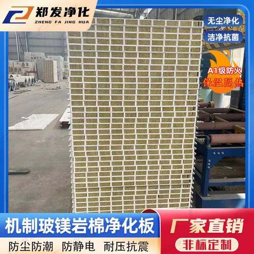 岩夹芯彩钢内板棉室隔断墙板阻燃隔洁热ULW抗菌净板玻镁岩棉净化