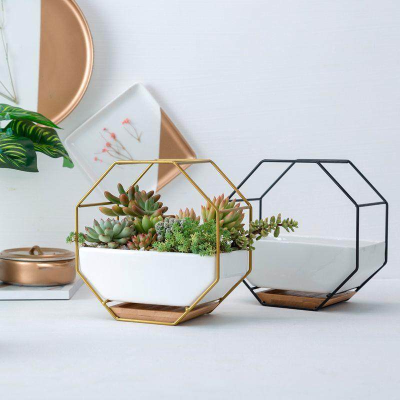 欧式简约GVQ个性多创意花盆陶瓷装肉花盆挂家用铁艺组合套壁阳台,家居饰品,花盆,淘宝优惠券,粉丝福利购,淘宝优惠卷