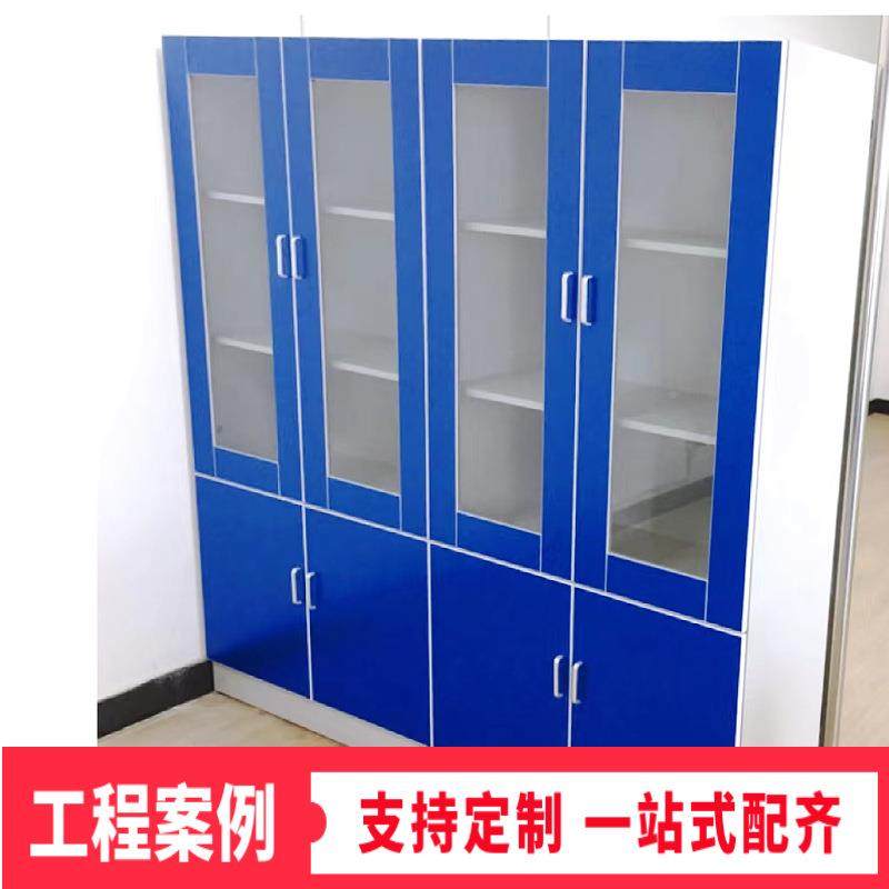 PP药品柜全钢器皿柜层板耐腐蚀样PP资料双锁器品皿文件PP药品柜柜,工业油品/胶粘/化学/实验室用品,其他实验室设备,淘宝优惠券,粉丝福利购,淘宝优惠卷