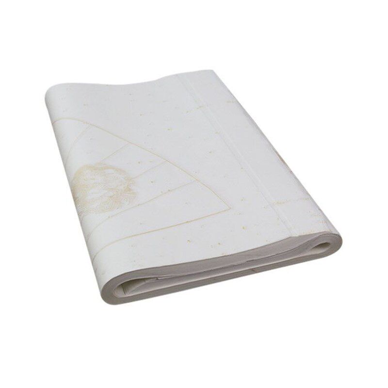 扇面宣纸 五彩空白扇形龙凤洒金梅兰竹菊四尺四开三开白色生宣