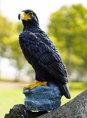 仿真动物玻璃钢老鹰雕塑雄鹰办公室白F头鹰摆件景观家居装饰雕模