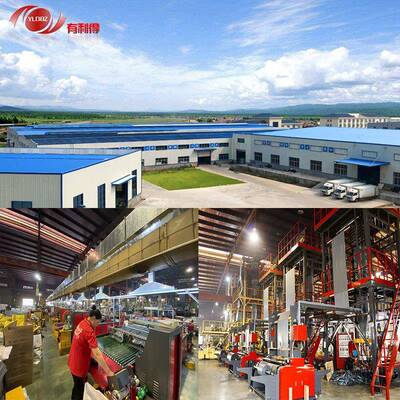 有L利得色快递DVU袋子整袋大号物流水防打包袋子印刷OG白O包邮