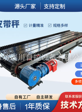 经济型皮带秤  建材食品粉末塑料动态称 连续称重秤定量皮带秤