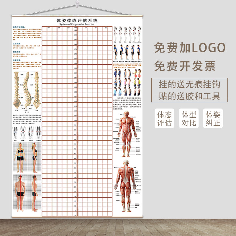 体态评估表挂式体测网格健身房瑜伽馆私教形体脊椎修复身体对比图