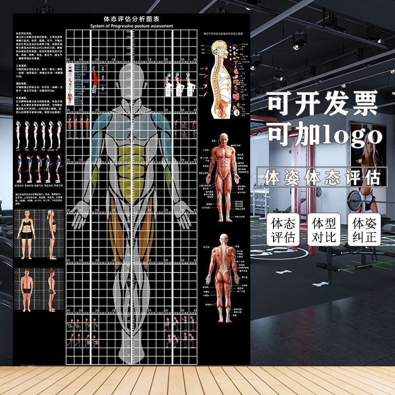 人体体态评估表健身房身体分析体测表墙贴瑜伽馆墙纸身体评估图