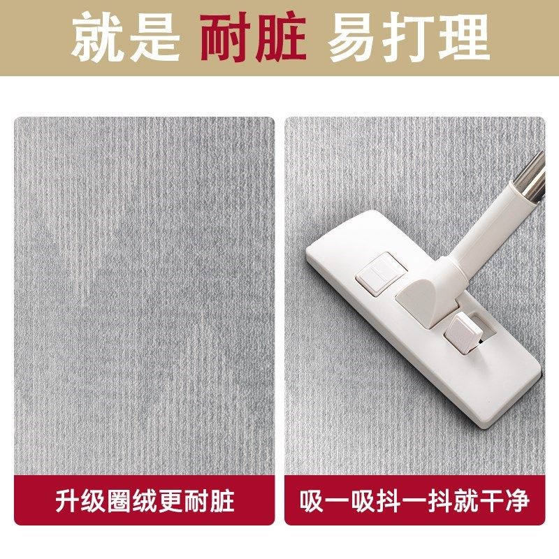 入户门口地垫高级地毯门垫进门家用蹭土换鞋垫玄关免洗门外蹭脚垫