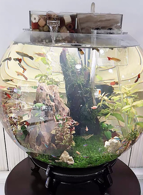50cm大号特大号加厚圆形玻璃鱼缸40CM圆球形圆鱼缸圆型客厅玻璃缸