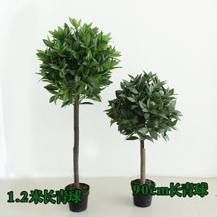 仿真橄料榄树球形盆栽人造塑树客厅摆放装饰橱窗盆创-意长青景假