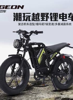 雪地车宽胎电自行车黑骑士双电机动BiK电动力车双E减震双驱电机电