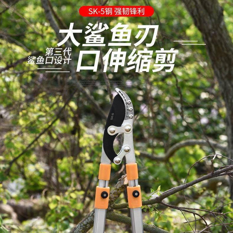 修树剪刀粗伸缩园艺剪枝园刀多功能林剪刀果树园林粗枝剪高307空