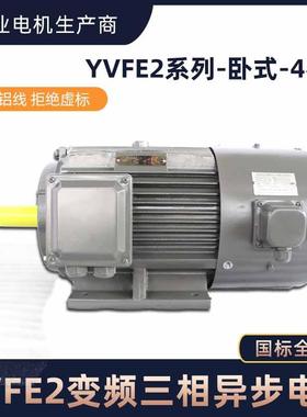 变极频电机380v卧式OZA455.5/11/1kw国标铜线YV动F2调速三相异步