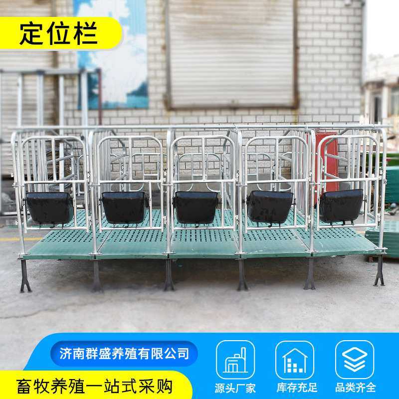 厂家直销母猪离地复合定位栏 猪用产床限位栏 养猪养殖设备产床