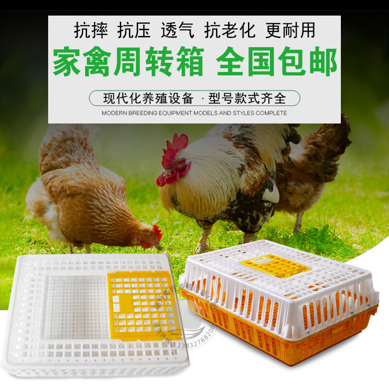 鸡框鸡笼周转箱鸡用运输筐成鸡鸭周转筐鸽兔用运输鸡笼子塑料笼子