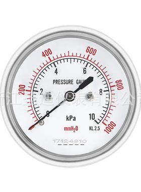 轴向抗无边膜盒压压力表YE60Z轴向精密压力表YZK震耐防腐蚀压力表