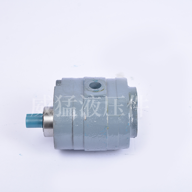 HY01-100X25齿轮油泵70*25杭州平面磨床M7130 M7132 MV7140液压泵