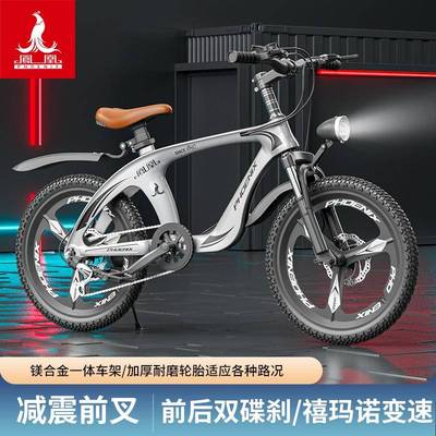 货供凤凰镁合哪吒金现儿2童山地自行车男应女孩18-20-2寸10岁学生