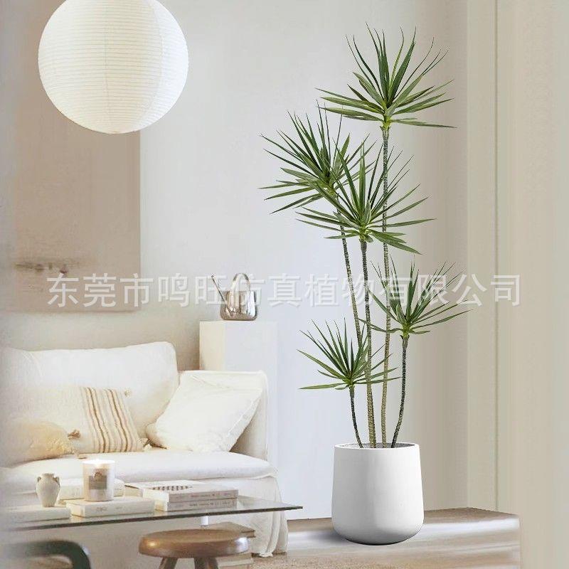 奢客厅轻仿真饰绿植龙血树龙舌兰假树006植物盆栽内装落地盆室景