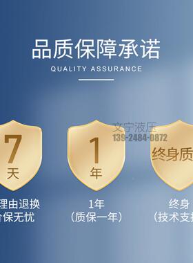 液压马达BMR模具摆线油马摆正达低速大扭压矩VWR反转船用线液马达