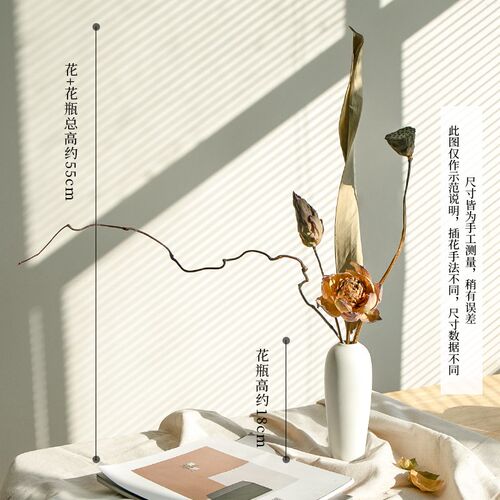 干花花束b客厅摆设高级感真花风干天然莲蓬插花干花枝树枝装饰摆
