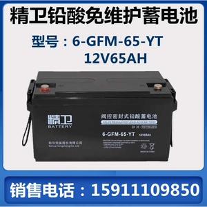 科华精卫蓄电池6-GFM-65-YT 12V65AH直流屏UPS电源铅酸免维护专用