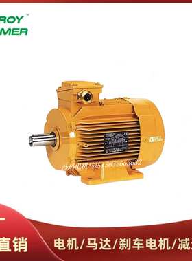 法国LEROY-SOMER电机马达LS LSES系列63 71 80 90 100 112M~200L