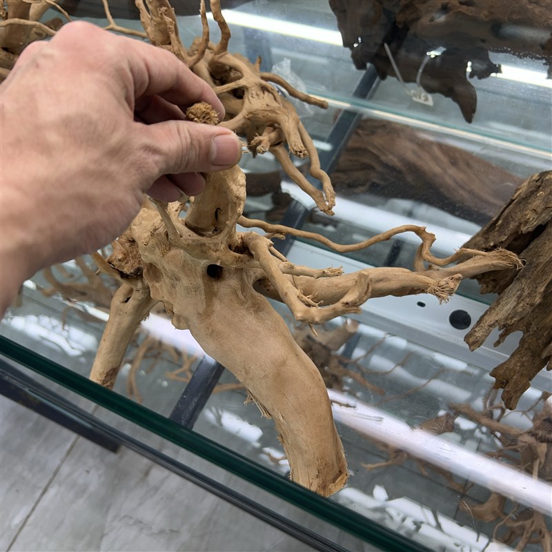 沉木杜鹃根鱼缸天然造景树森林木头免煮小号大号枯木已煮树桩