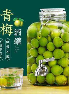 青梅泡酒专用酒瓶杨梅酒酿酒玻璃瓶密封罐子果酒酒V桶酒坛酒罐容