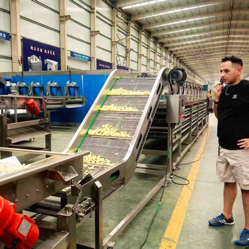 工厂全自动法式炸薯条生产线和薯片生产线速冻薯条薯片油炸线设备