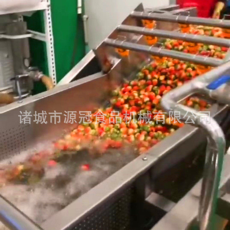 草莓清洗机高压喷淋大枣气泡清洗机海产品脱盐清洗设备源冠