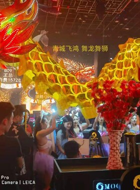 3期免息舞龙g舞龙道具牛津布烫金灯光龙国标龙龙皮亮铜线LED