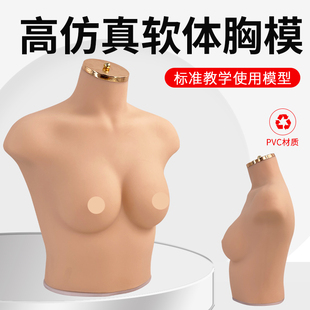 内衣文胸a橱窗展示拍摄道具 C胸模 女半身硅胶软体仿真人模特75B