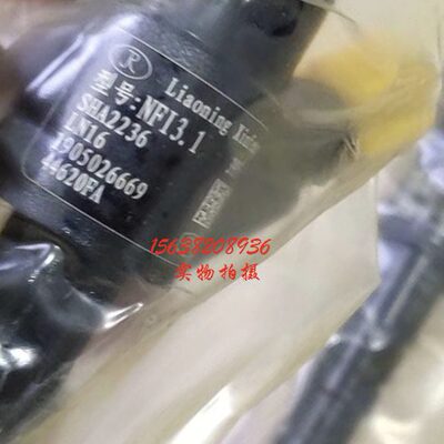 云内国三龙工叉车喷油嘴SHA2236/SHA11084辽宁新风395喷油器