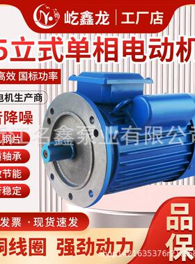 铸铁单相异步YL90电动机220v减速机电动机YL80YL100立式4极6极8极