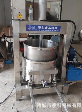 LY200型竹笋液压压榨机，全自动压榨机，304不锈钢工业方管制作