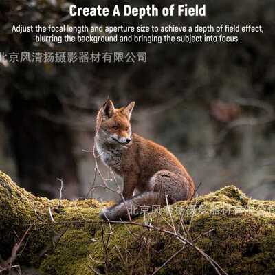 NEEWER 纽尔 LS-51 HD Telephoto Lens 17mm Lens Thread手机镜头