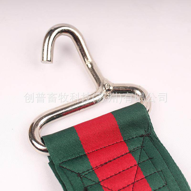 HL-HTH不锈钢304材质修蹄蹄工具修蹄龙钩尼定带牛蹄TBL马蹄固钩