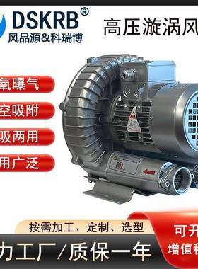 550高压风机低噪鼓音环保高压风机RB-1DZO0H-空06小型真管道风机
