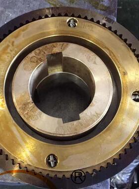 DLY5-160A带滑环牙嵌式电磁离合器工厂DLY5-160A/DC24V-87W轴孔85