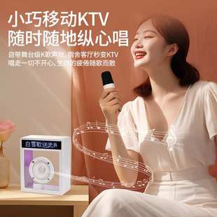 歌词音响悬浮可显示的透明蓝牙音箱k歌麦克风一体高音质2024新款