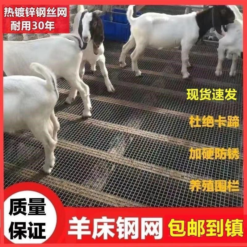 羊床网养羊漏粪网鸡鸭鹅围栏网养殖网轧花网热镀锌钢丝网狗,五金/工具,护栏/隔离栏,淘宝优惠券,粉丝福利购,淘宝优惠卷