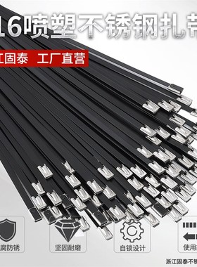 316不锈钢f扎带自锁喷塑黑色扎带4.6MM8MM船用港务机场铁路金属
