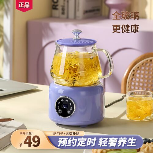 养生壶小型办公室迷你minti煮茶壶全玻璃花茶多功能女士一人养生