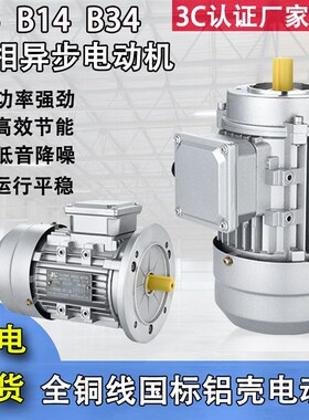 YS8014 YS8024o YS8034全铜线三相异步马达380V交流铝壳电机750W