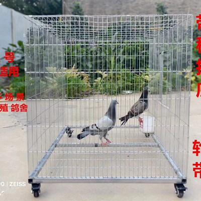 养殖笼具宠物笼子鸡笼鸽笼兔笼J可折叠可移动简易安装
