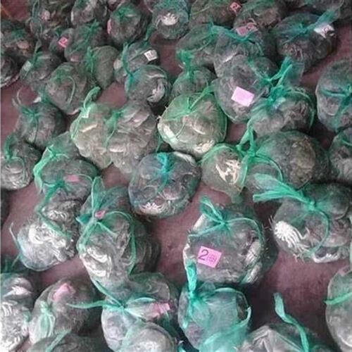 装螃蟹网袋装螃蟹网n兜水产网袋网兜花蛤网袋螃蟹袋子海鲜袋子