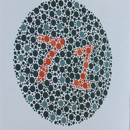 辩色图谱 卫生教学器材配套 多品种整体包采购可对折