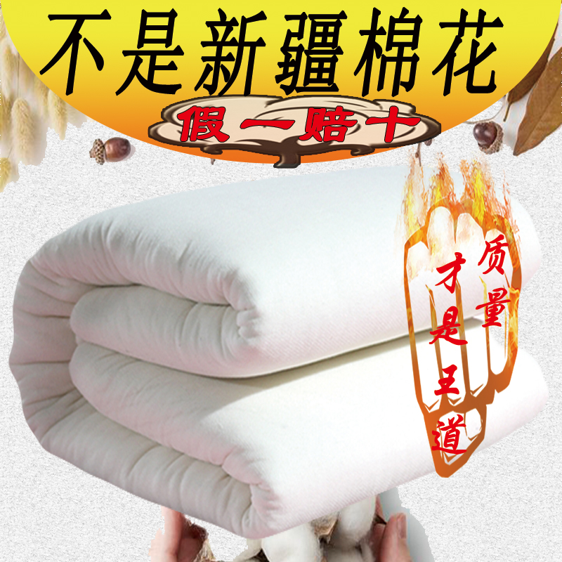新疆阿克苏棉花被优质长绒棉加厚保暖冬被被芯棉被手工褥子可定制
