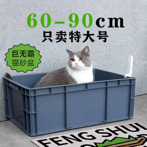 猫砂盆超大号100cm集装箱周转箱缅因猫物流箱40斤巨大号开放式80