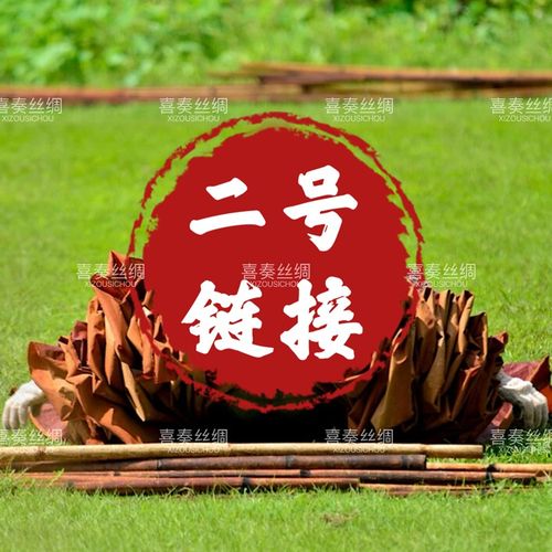 2号~非遗香云纱面料一经裁剪 无质量问题不退不换 介意慎拍