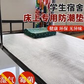防潮垫学生宿舍床上用户外寝室单人床板垫加厚工地隔潮午睡打地铺